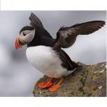 Hilde's Photo