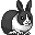 :rabbit: