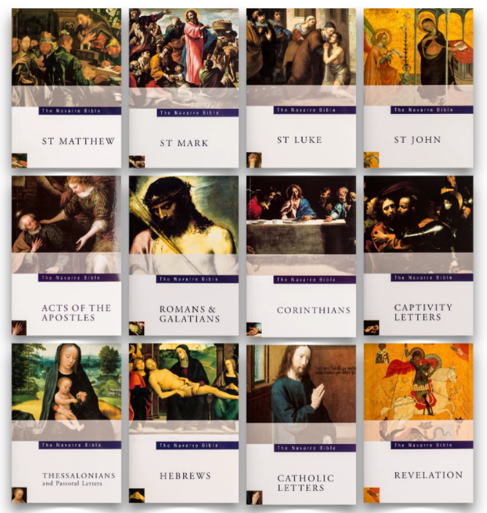 navarre-NT-3rdEdition.png.8e3e4e3e4f329697f1a93e740f55f21a.png